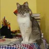 Отзыв от Лидия Пастухова